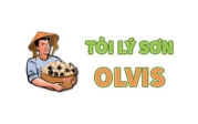 Olvis